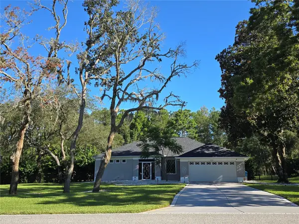 10261 Woodland Waters Boulevard, WEEKI WACHEE, FL 34613