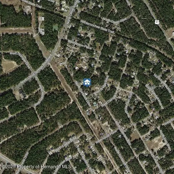 9996 N Sandree Drive, Citrus Springs, FL 34434 - #3