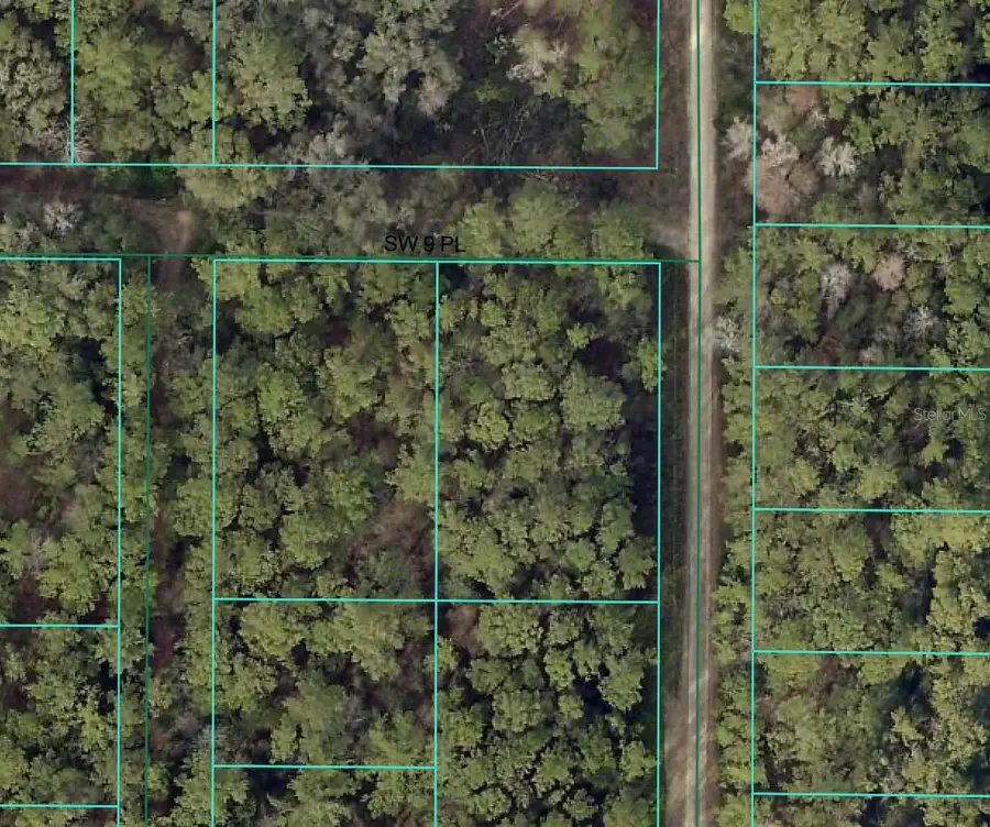 SW 9th Place, Ocala, FL 34481 - Image #2