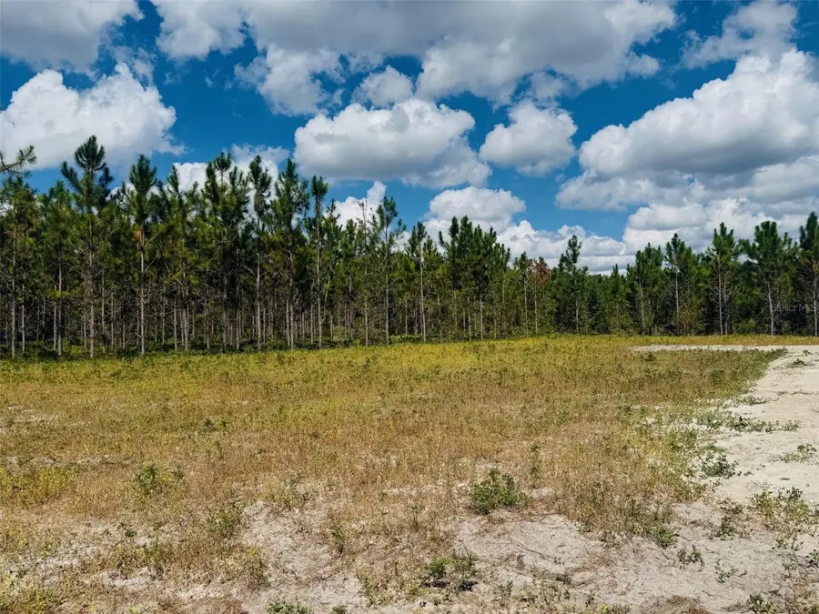 7670 207th Road, Live Oak, FL 32060 - Image #2