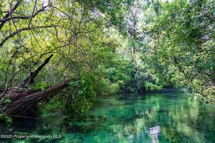 6448-1 W Richard Drive, Weeki Wachee, FL 34607 - Image #2