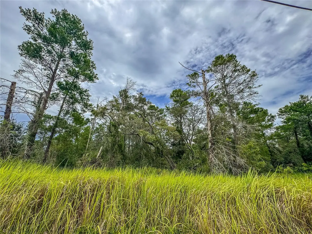 0 Bahama Swallow Avenue #9, Weeki Wachee, FL 34613 - Image #1