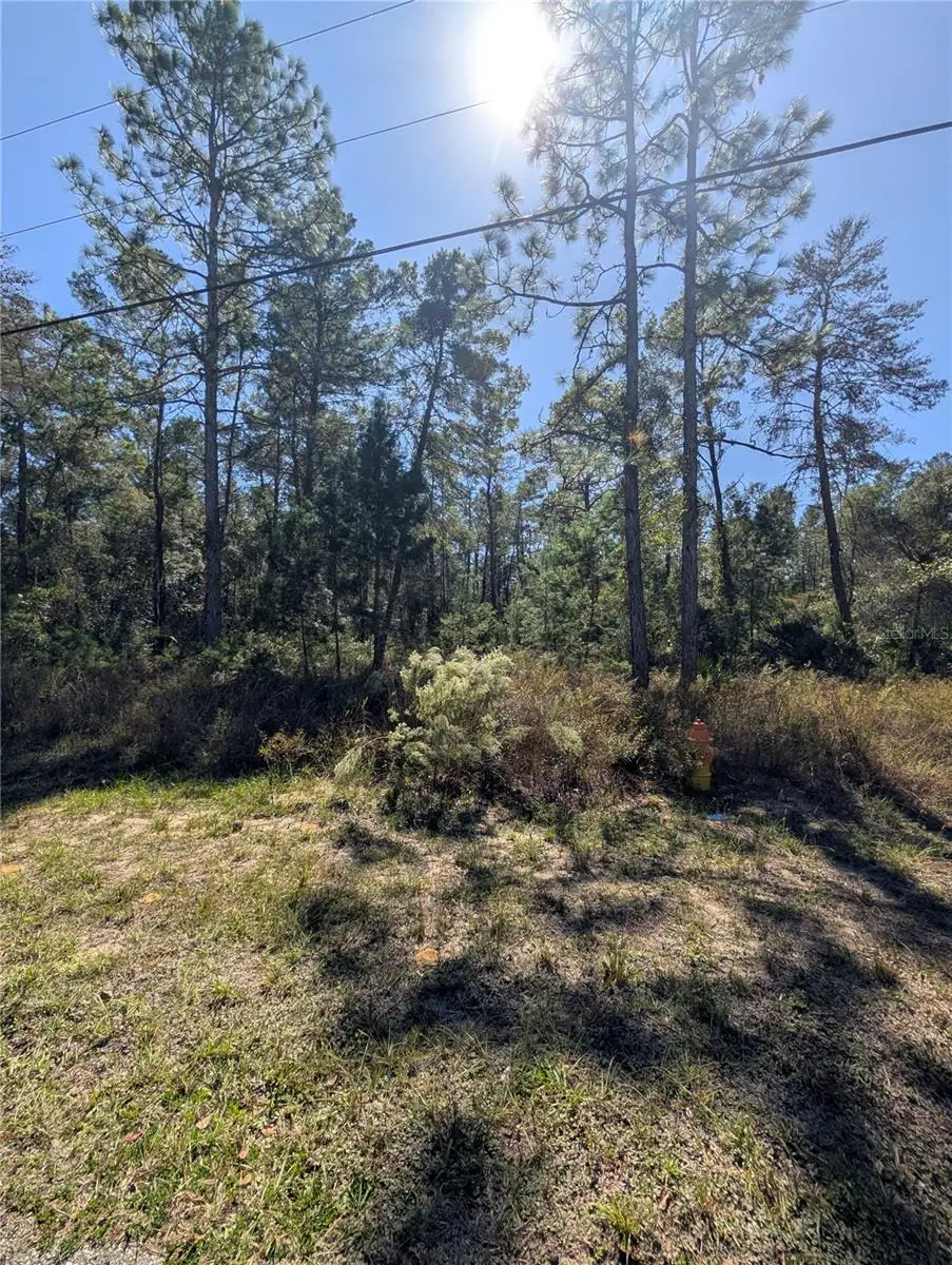 4298 W Alamo Drive, Beverly Hills, FL 34465 - Image #1