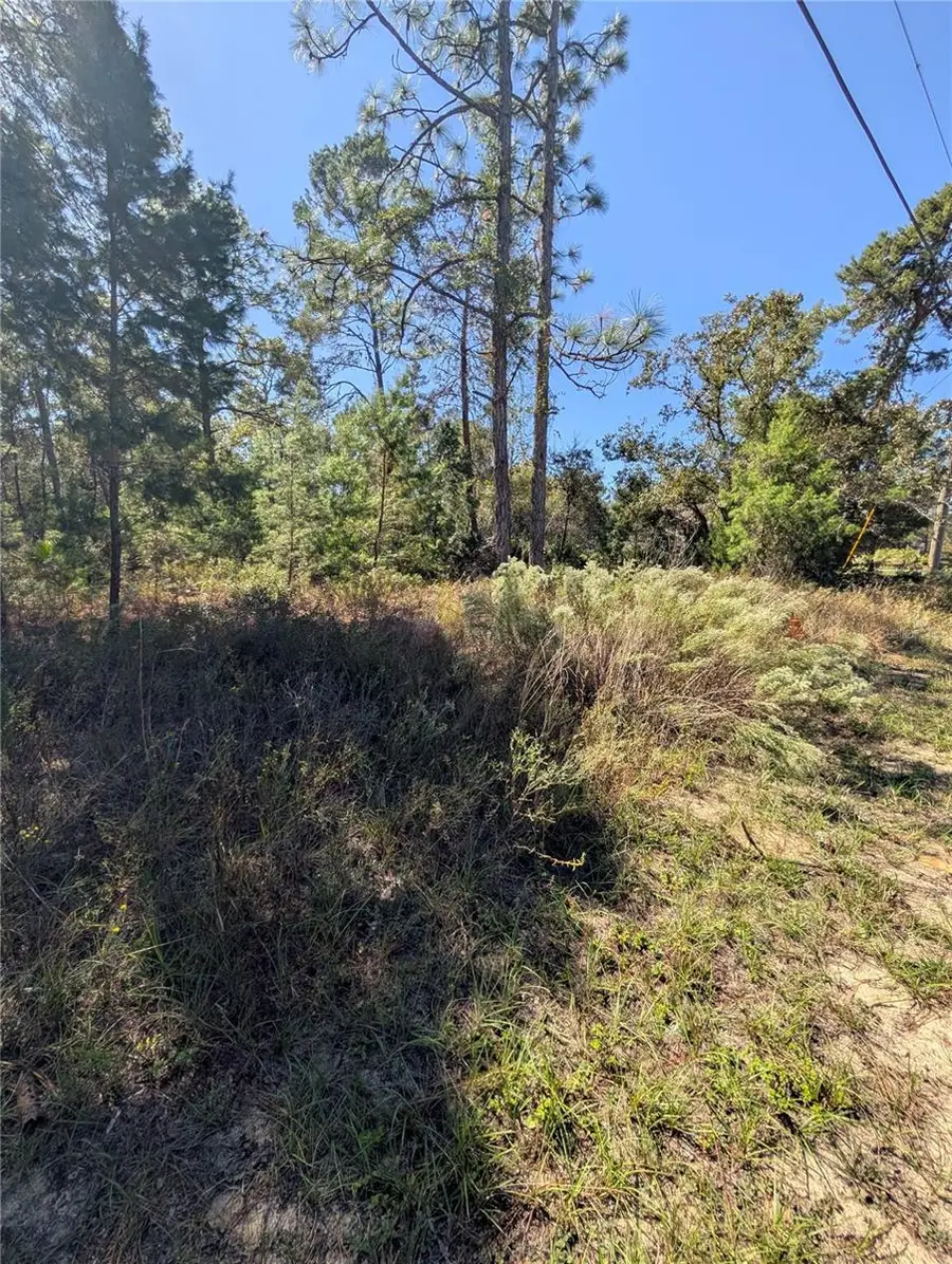 4298 W Alamo Drive, Beverly Hills, FL 34465 - Image #2