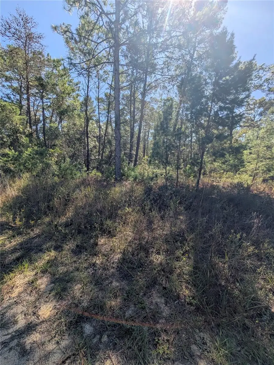 4298 W Alamo Drive, Beverly Hills, FL 34465 - Image #3