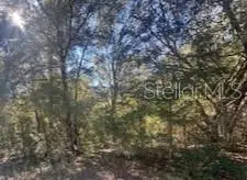 10014 N Athenia Drive, Citrus Springs, FL 34434 - Image #1