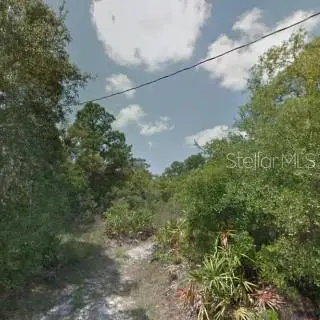 Hedges Street, NEW PORT RICHEY, FL 34654