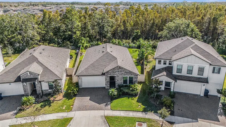 21565 Violet Periwinkle Drive, Land O Lakes, FL 34637 - Image #2