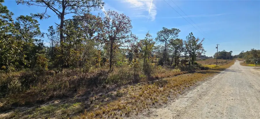 16392 Curlew Road, Brooksville, FL 34614 - Image #3