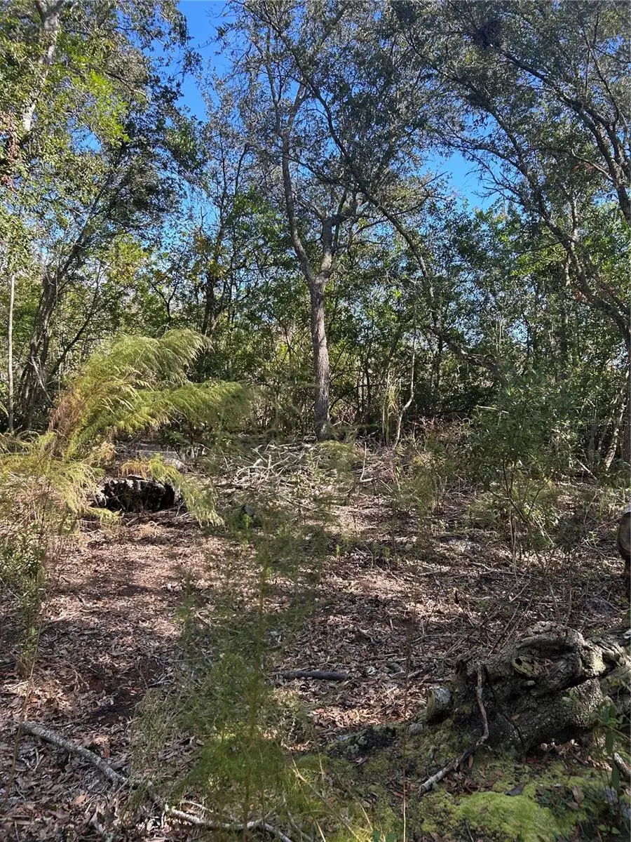 7740 E Smoke Trail, Inverness, FL 34453 - Image #3