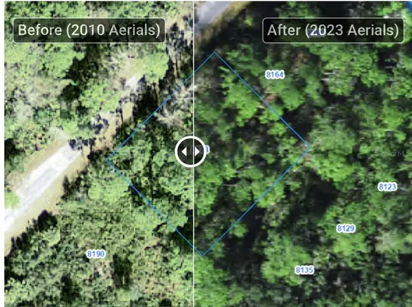 8178 W Windhaven Place, HOMOSASSA, FL 34448