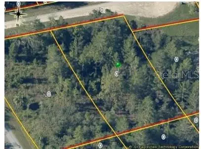 0 Duncan, WEEKI WACHEE, FL 34614