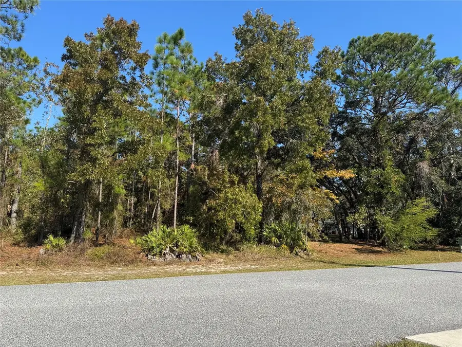 157 Daisy Street, Homosassa, FL 34446 - Image #2