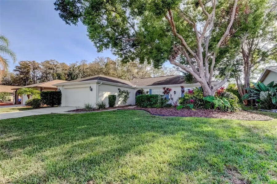 3522 Player Drive, New Port Richey, FL 34655 - Image #2