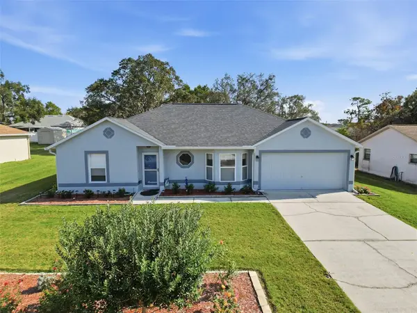 2370 Bonkirk Avenue, SPRING HILL, FL 34609