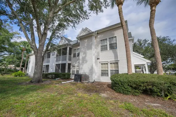 3261 Haviland Court #203, PALM HARBOR, FL 34684