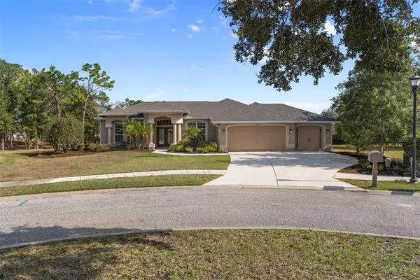 13097 Pastore Court, SPRING HILL, FL 34609