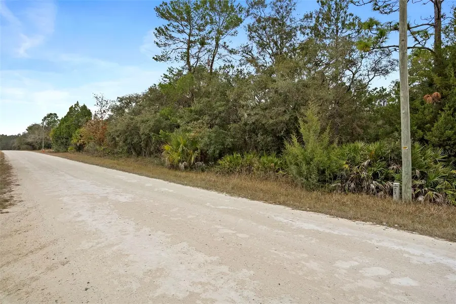 10021 Yellowback Road, Weeki Wachee, FL 34614 - Image #2