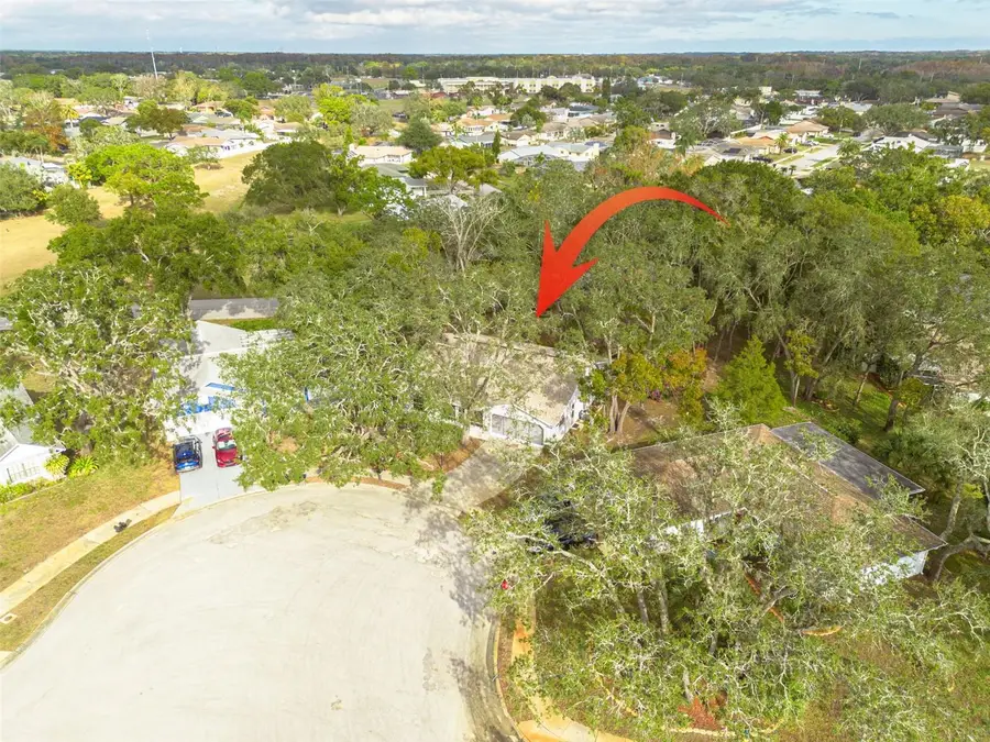 8619 Gold Pine Drive, Port Richey, FL 34668 - Image #2