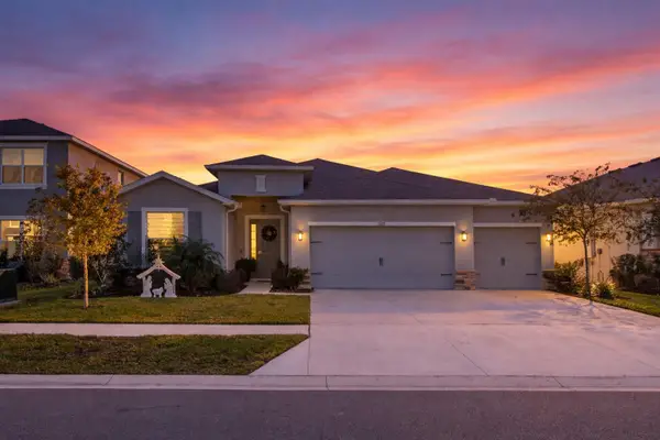 7629 Broad River Avenue, LAND O LAKES, FL 34638