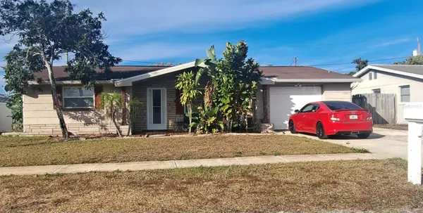 1153 Tamarac Drive, HOLIDAY, FL 34690