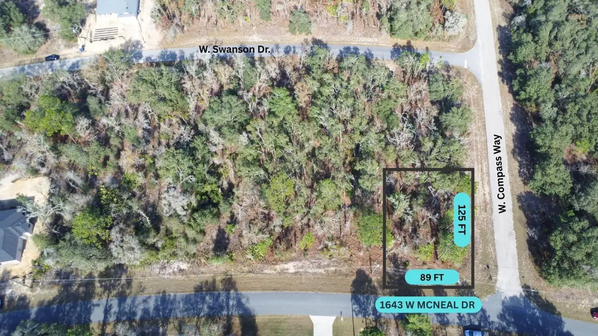 1643 W Mcneal Drive, Citrus Springs, FL 34434 - Image #1