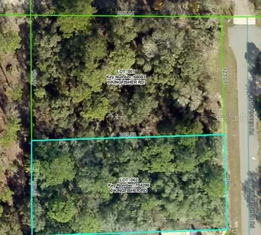 Lot 1 Kingfisher Road, WEEKI WACHEE, FL 34614