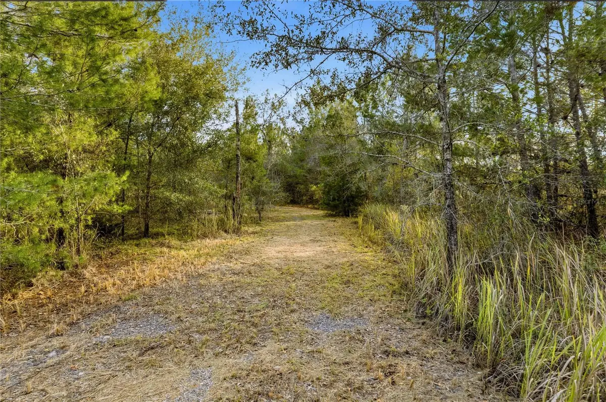 0 Backwoods Way, Brooksville, FL 34614 - Image #1