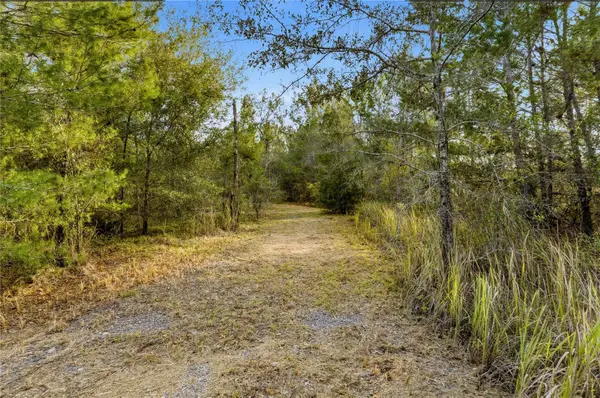 0 Backwoods Way, BROOKSVILLE, FL 34614