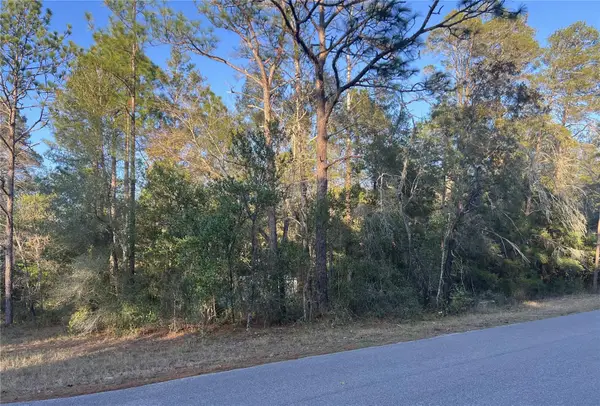 Lot 4+ Blair Avenue, BROOKSVILLE, FL 34604