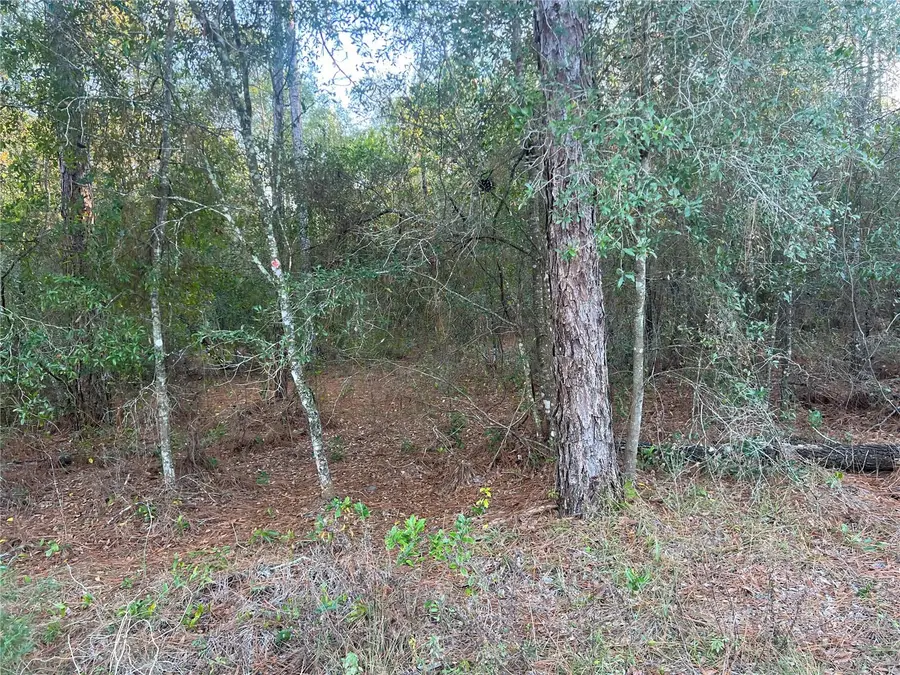 Lot 4+ Blair Avenue, Brooksville, FL 34604 - Image #3