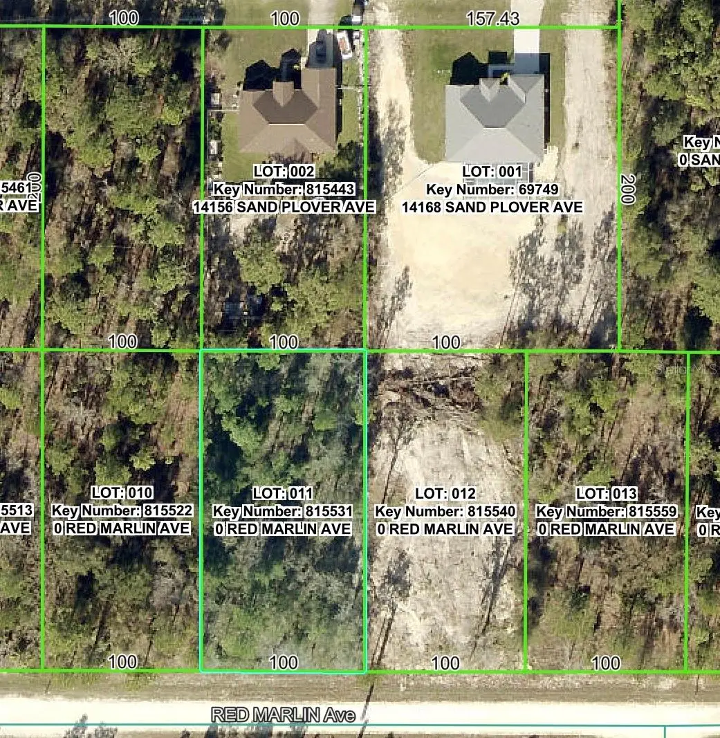 Lot 11 Red Marlin Avenue, Weeki Wachee, FL 34614 - #1