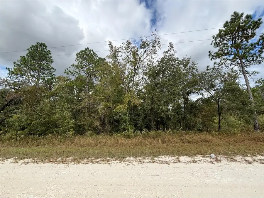 Lot 11 Red Marlin Avenue, Weeki Wachee, FL 34614 - #2