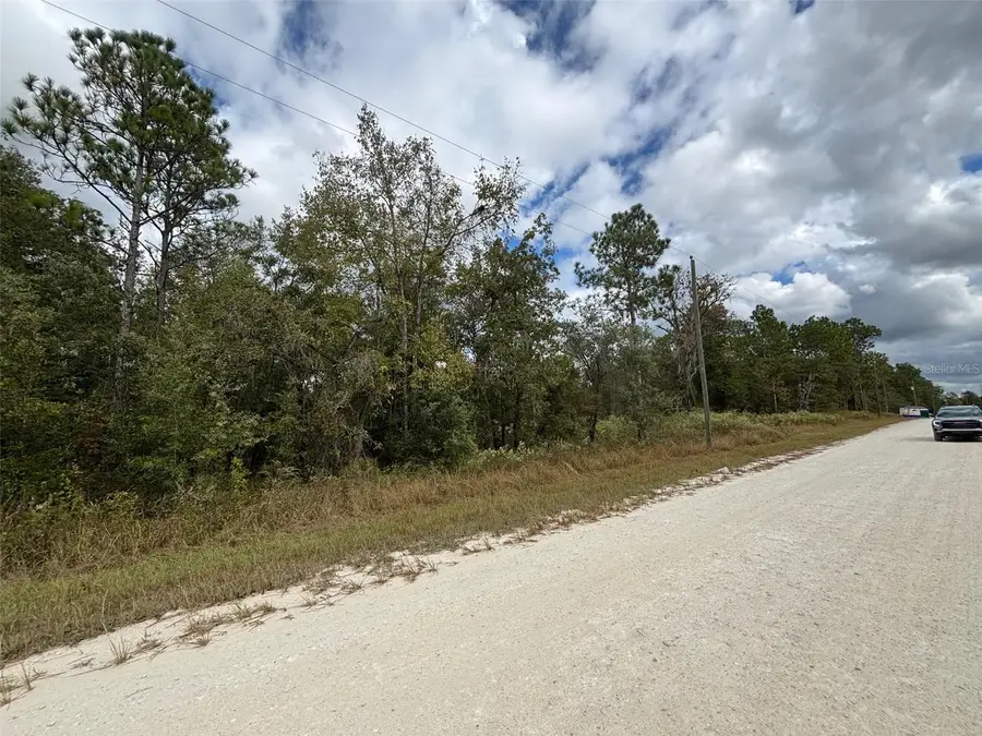 Lot 11 Red Marlin Avenue, Weeki Wachee, FL 34614 - #3
