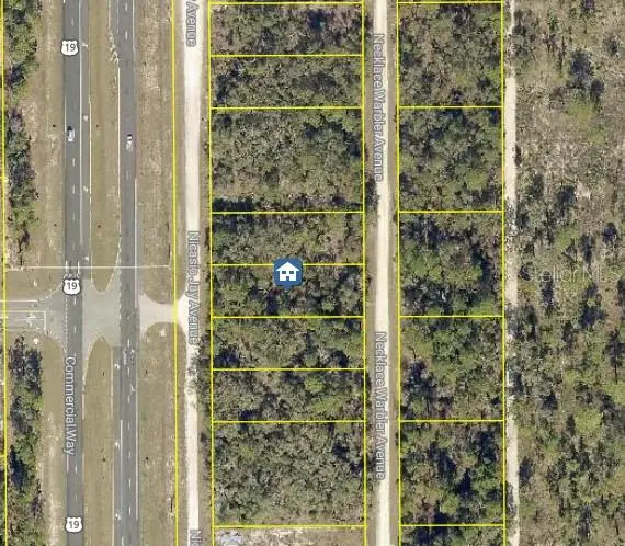 LOT 14 Necklace Warbler, WEEKI WACHEE, FL 34614