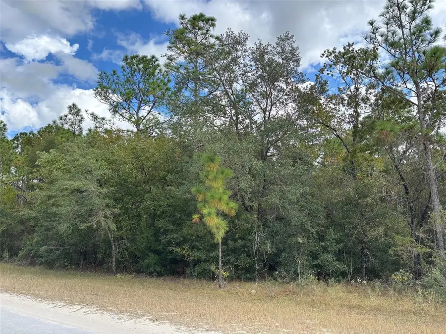 Lot 17 Canyon Swallow Road, Weeki Wachee, FL 34614 - Image #2