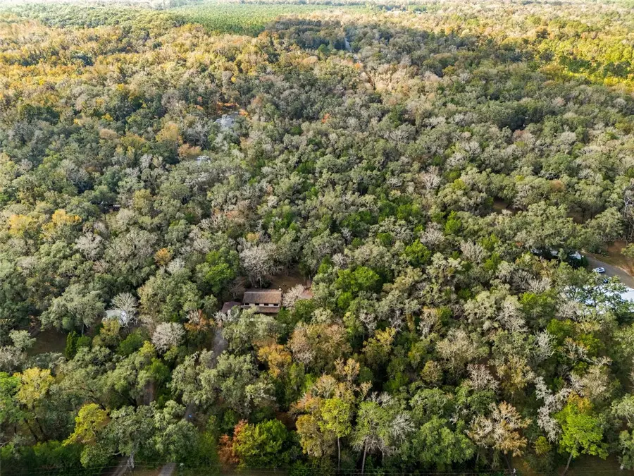 12047 Timber Lane, Brooksville, FL 34601 - Image #2