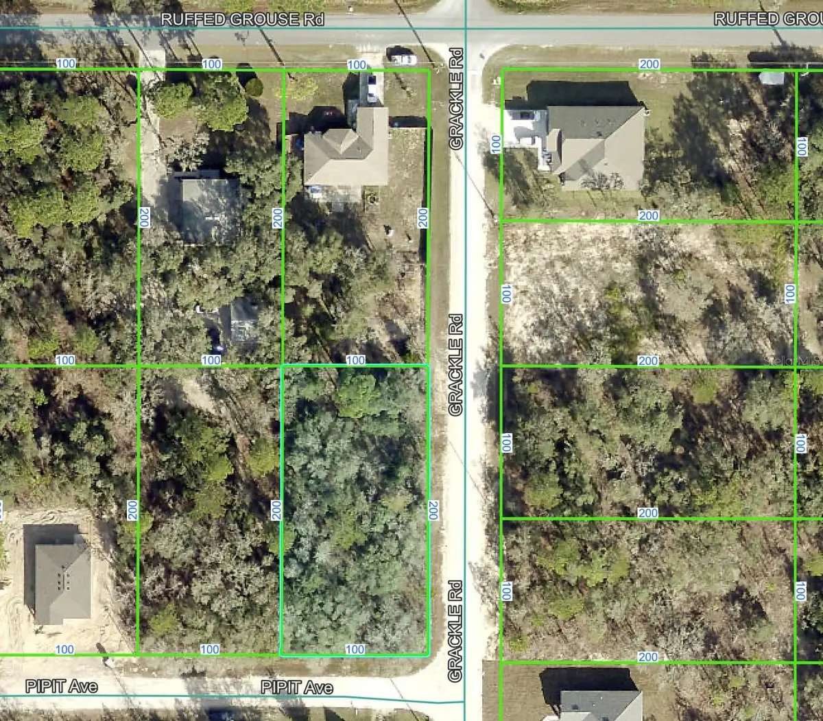 0 Grackle Road, Weeki Wachee, FL 34614 - Image #1