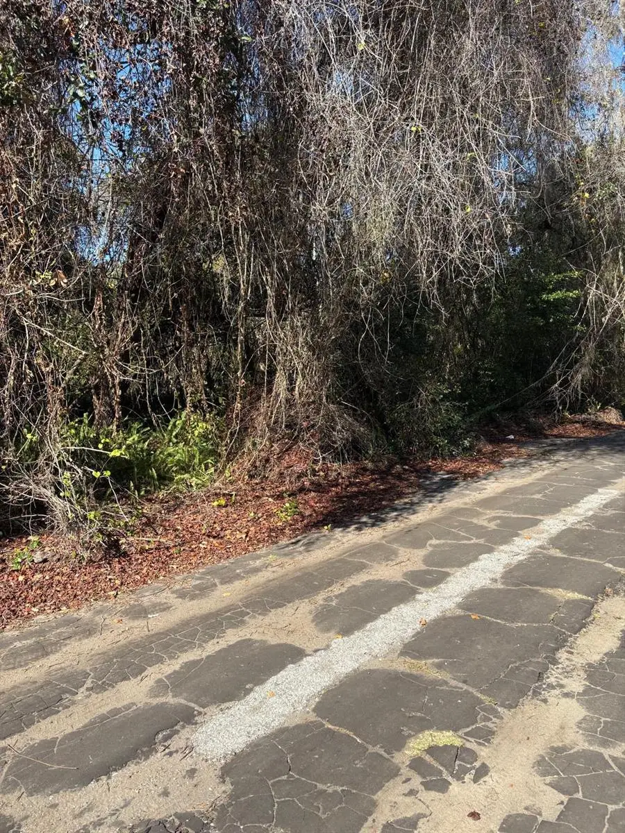 0 Pana Street, New Port Richey, FL 34654 - Image #3