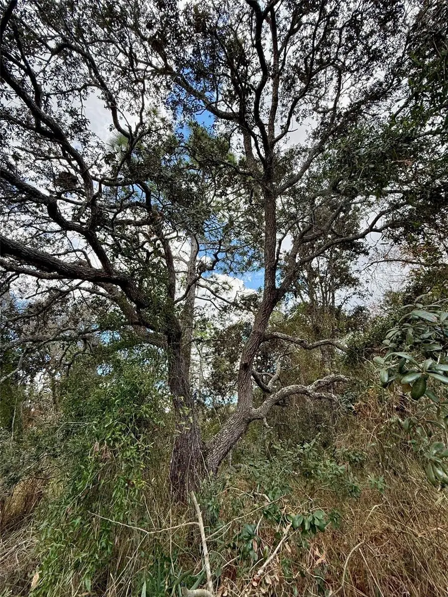 0 Centralia Road, Weeki Wachee, FL 34614 - Image #2