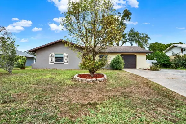 31205 Lancewood Drive, BROOKSVILLE, FL 34602
