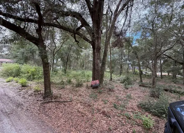 10185 Creekfield Road, BROOKSVILLE, FL 34613