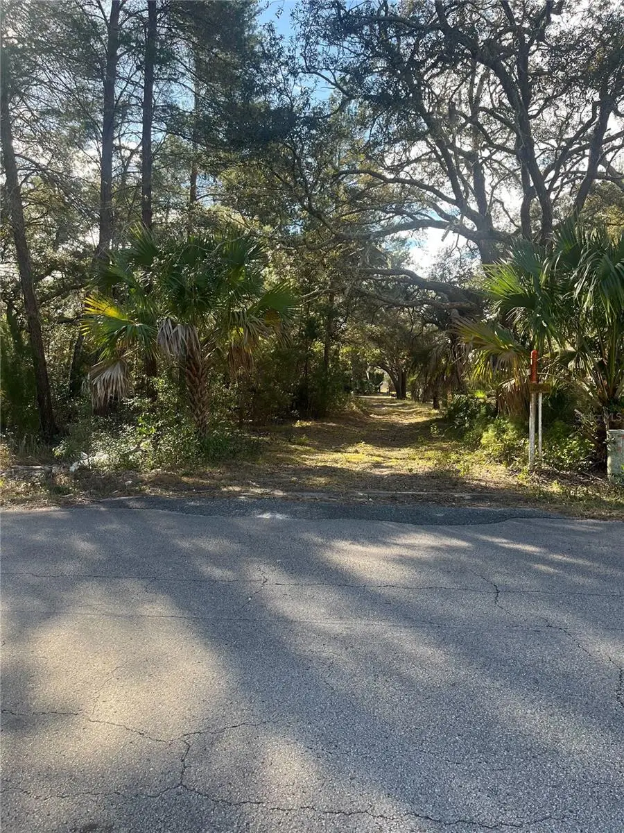 0 Yearling Avenue, Weeki Wachee, FL 34607 - Image #1