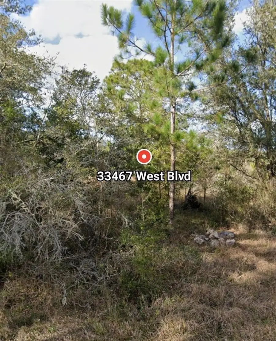 33467 West Boulevard, Webster, FL 33597 - Image #2