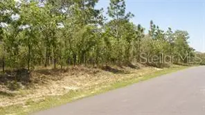 0 Petrel Avenue, WEEKI WACHEE, FL 34614
