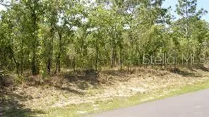 0 Petrel Avenue, Weeki Wachee, FL 34614 - Image #2