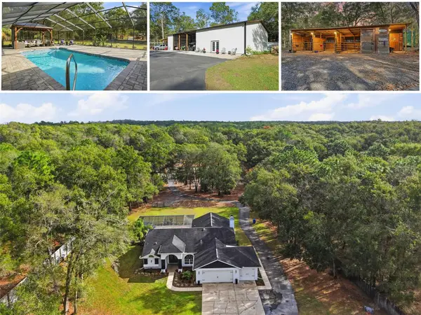 16000 Sam C Road, BROOKSVILLE, FL 34613