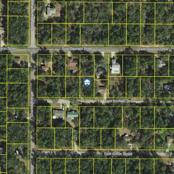 3061 E Scofield Street, INVERNESS, FL 34453