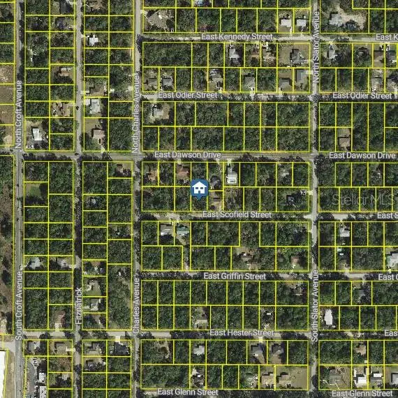 3061 E Scofield Street, Inverness, FL 34453 - #2