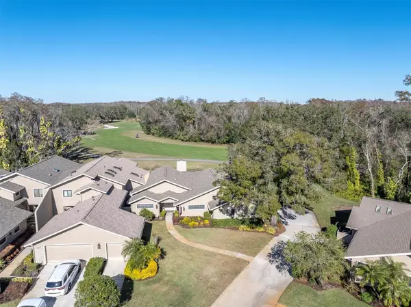 1051 Royal Troon Court, TARPON SPRINGS, FL 34688